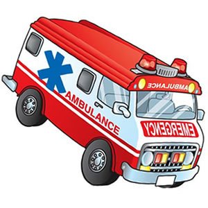 Ambulance Trucks Differences