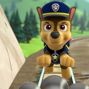 Chase Paw Patrol Differences