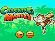 Cracking Monkey