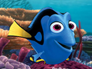 Finding Dory-Hidden Numbers