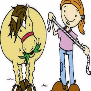 Horse Care Cartoon Puzzle