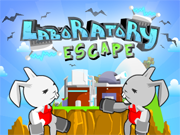 Laboratory Escape