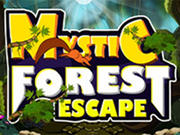 Mystic  Forest   Escape