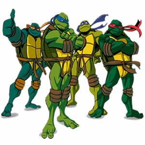 Ninja Turtles Memory