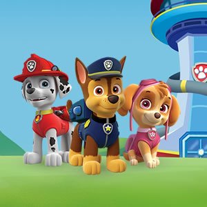 PAW Patrol Memory