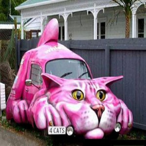 Ping Cat Truck