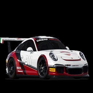 Porshe GT Racing Beauty