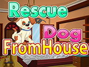 Rescue Dog from House