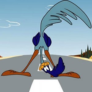 Road Runner