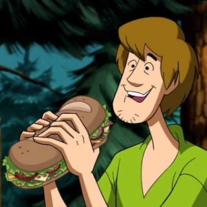 Shaggy Rogers