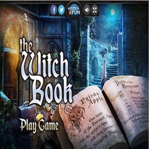 The Witch Book