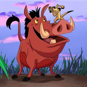 Timon and Pumba Differences