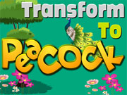 Transform to Peacock