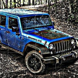 Wrangler Jeep Black Bear